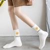 Women's Tommy Smile Long Socks 5-Piece Set
