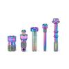1 Set Titanium Alloy Bicycle Oil Disc Screws Multicolor Gold Disc Brake Screws  Road Bike