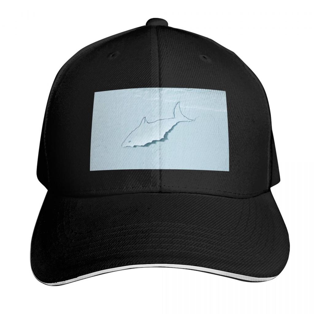 Hai An Der Wand Baseballkappe Kapuze Schirm Große Größe Hut Streetwear Elegante Damen Hüte Unisex