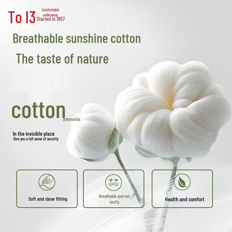 Hodo Women's 7A Antibacterial Silk Crotch Cotton Briefs 4-Pack