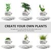 Levitating Air Bonsai Pot Rotation Flower Pot Planters Magnetic Suspension Floating Pot Potted Plant Home Without Plants