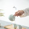 Nanshan Gentleman Handmade Ceramic Teapot