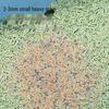 Cat Litter Deodorizing Beads: Odor Removal, Clumping Granules for Easy Cleaning