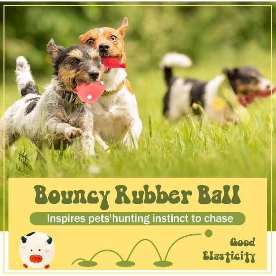 Jenaai 11 Pcs Dog Squeaky Toys Squeaky Latex Dog Toys Soft Chew Rubber Dog Toy Rubber Chew Toys for Dogs Assorted Animal Pet Toys Puppy Fetch Pet