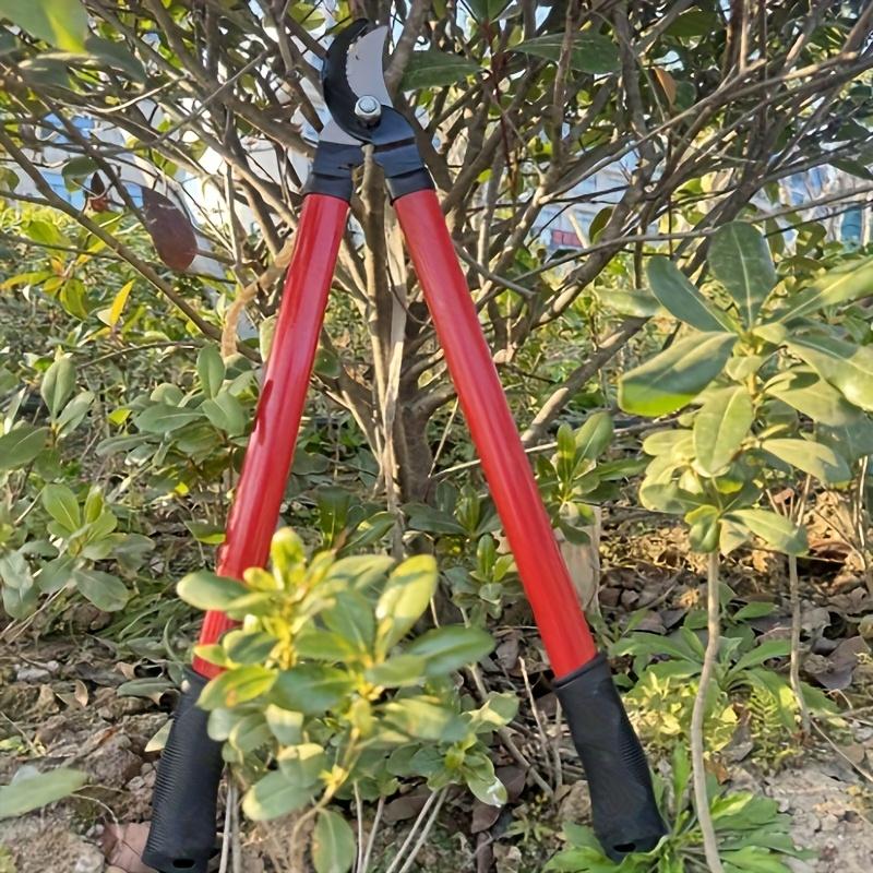 1pc Garden Tools Scissors High Branch Scissors Fruit Branch Scissors Scissors Scissors for Cutting Branches Force Shark Teeth Thick Branch Scissors