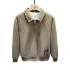 Men's European Cotton Fleece-Lined Knit Zipper Lapel Sweatshirt - Autumn/Winter, Loose Plus Size, High-End Casual Clothing