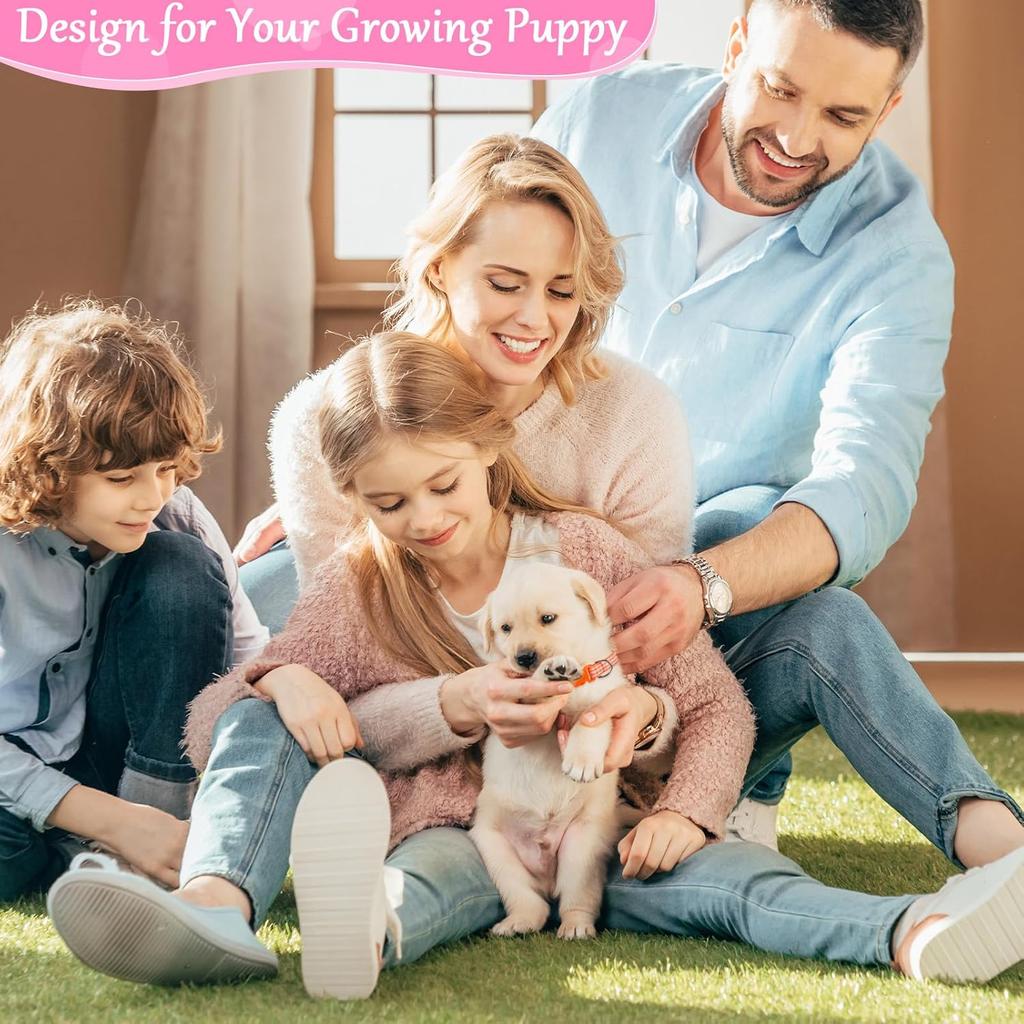 Auidy_6TXD 14pcs Puppy Collars for Litter Adjustable Whelping Puppy Collars Soft Nylon Id Collars for Small Dogs(Medium)