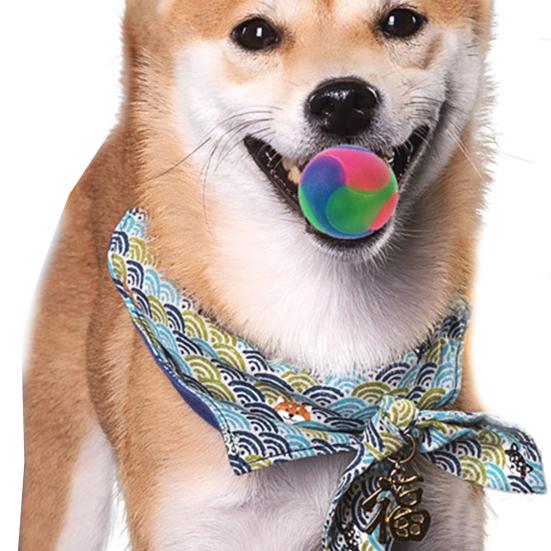 Glowing Ball Elastic Happy Exercise Rubber Flashing Elastic Ball Pet Supply for Home