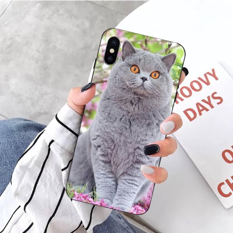 

Сірий чохол для телефону з британською короткошерстою кішкою для iPhone 14 13 12 11 XS X 8 7 6 Plus Mini Pro Max SE 2022 М яка чорна накладка на телефон iPhone SE 2020-2022