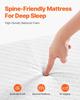 Rollaway Bed Folding Bed with 4 In Foam Mattress for Adults and Guest