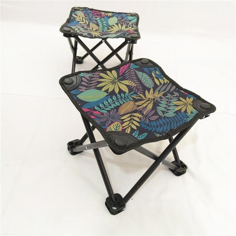 ZISIZ Portable Folding Camping & Fishing Stool