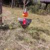Halloween Pumpkin Head Scarecrow Ground Pile Layout Props Ornaments Decoration