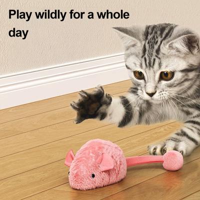 Kedi – Kedi Oyuncakları