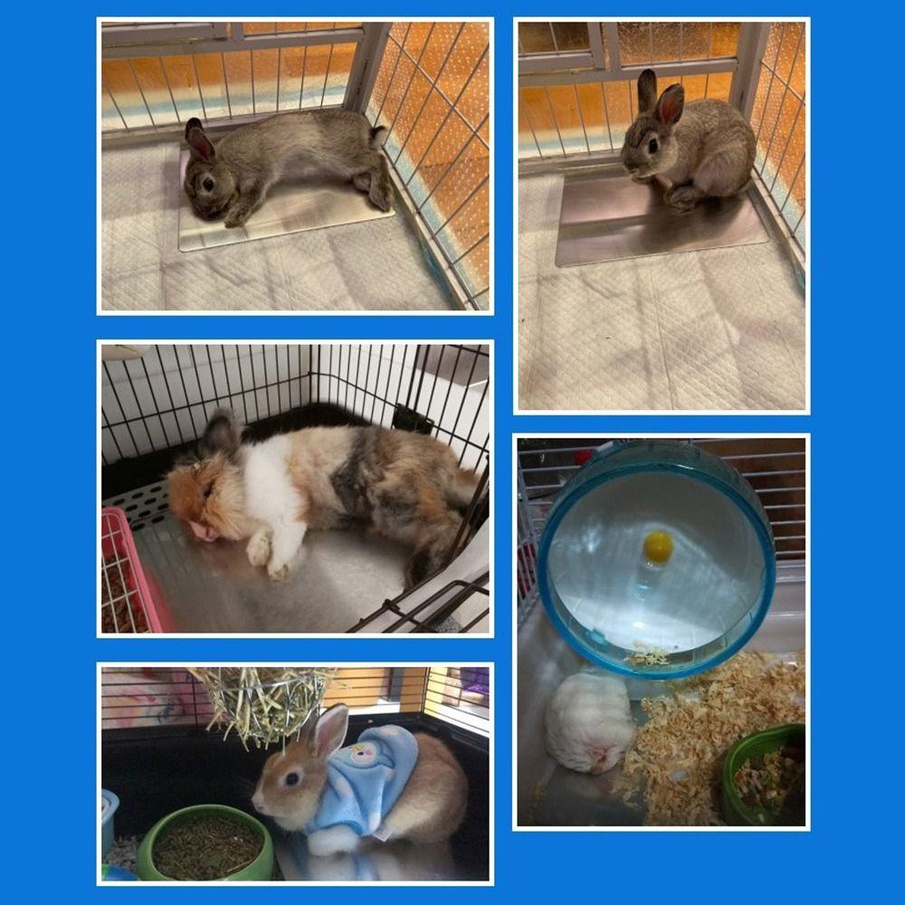 Wärmeableitende Hamster-Kühlmatte Schnellkühlende Sommer-Kühlmatte Sommer-Kühlzubehör