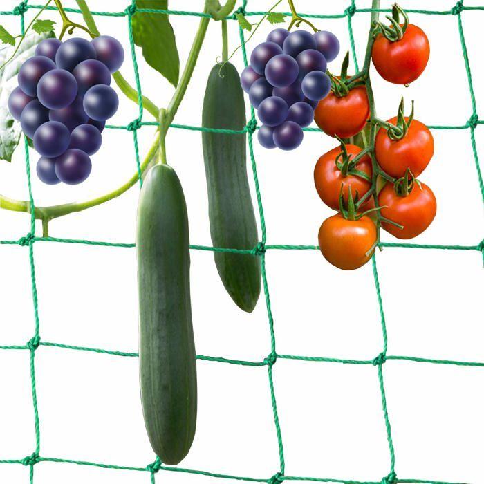 Filet grimpant jardin 5 x 2 m - maille 10x10 cm, polyéthylène vert pour tomates & concombres