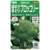 Sakata Seed Broccoli 'Sawa Yutaka' - Summer Heat Tolerant Vegetable Seeds