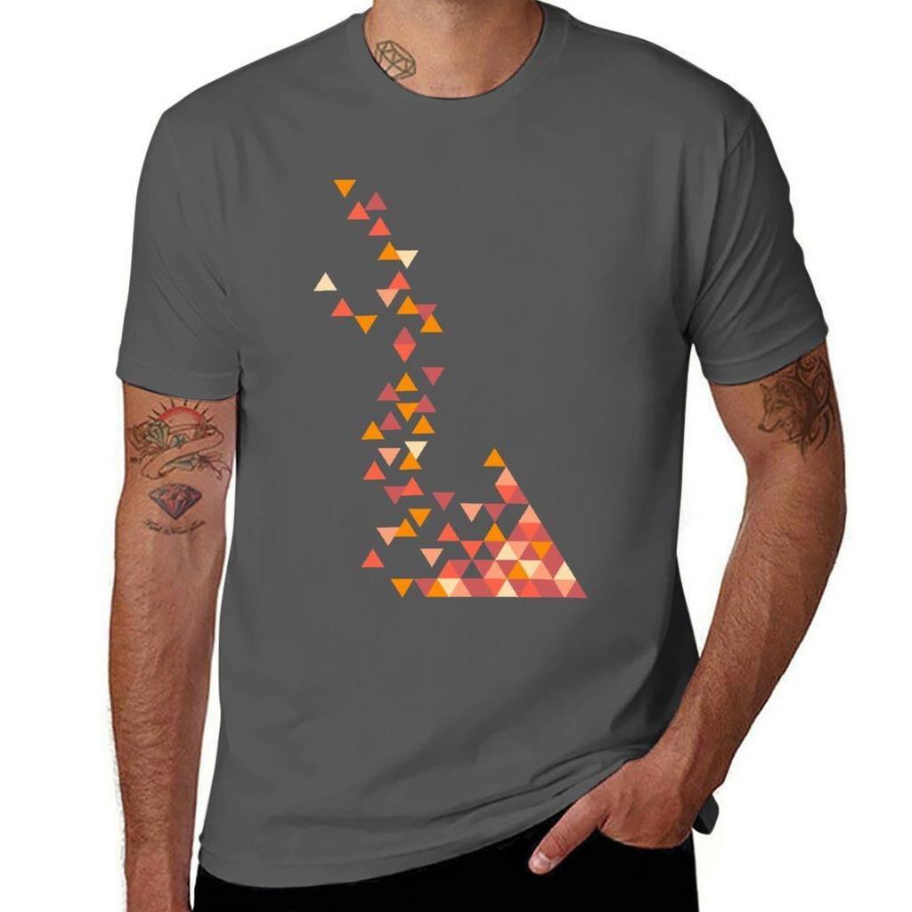 Triangles TShirt Big and Tall Gym TShirt