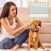 Köpek – Köpek bakım ürünleri