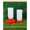 Chicken Trough Small Automatic Waterer Quail Feed Feeder Rutin Chicken Trough Chicken Automatic Feeder