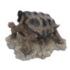 Schildkrötenfigur Spielzeug Lebendige Form Harz Simulation Schildkröte Statue Spielzeug für Aquarium Aquarium Brunnen
