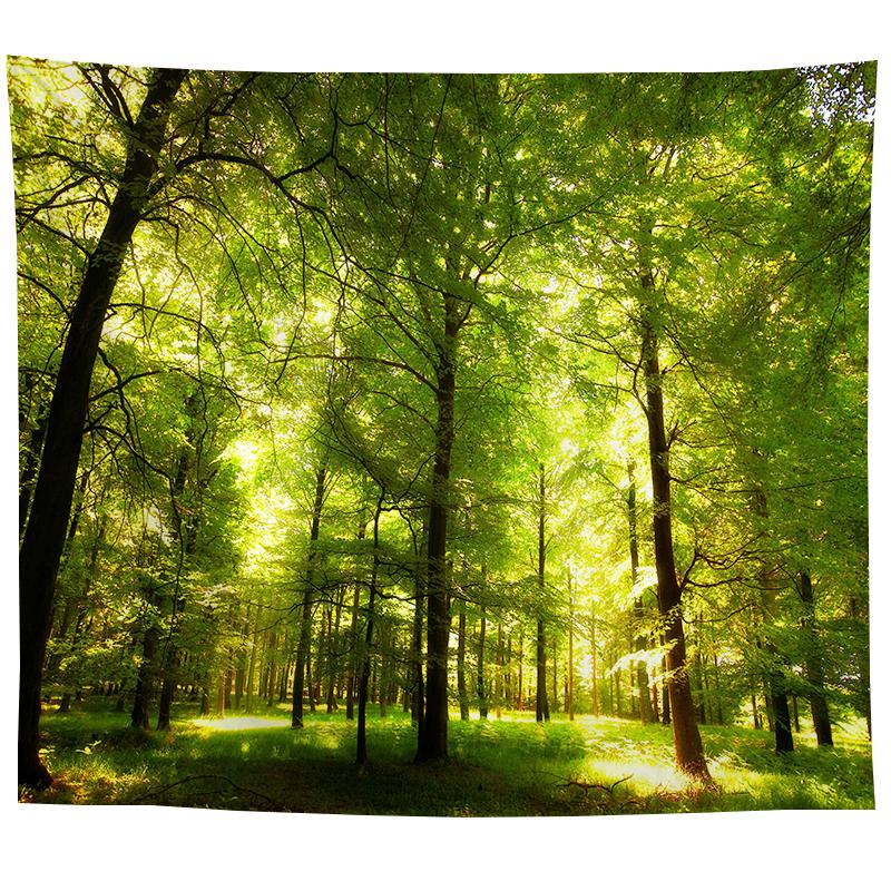 Wall Hanging Tapestry Psychedelic Nature Mountain Seascape Fog Forest Landscape Printed  Living Room Bedroom Home Decor