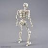 Bandai Spirits  Bandai Spirits  30mf Duro Skeleton Color Coded Plastic Model Duro Skeleton