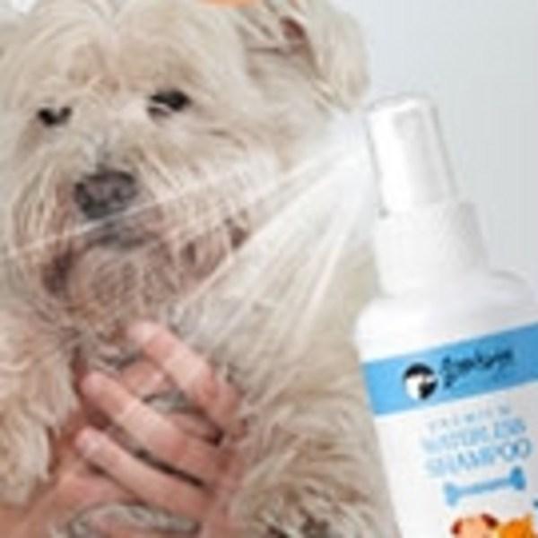 Don’t Cry My Pet Pet Premium Waterless Shampoo, 150ml, 1 Unit, Korean Pet Shampoo