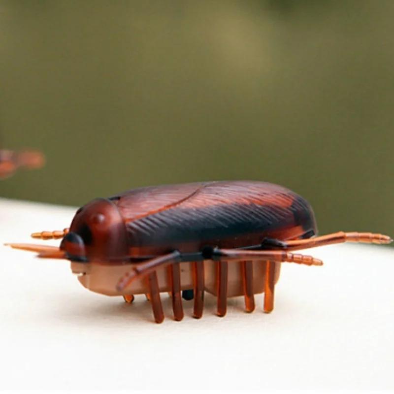 Funny Simulation of Cockroaches Pet Cat Dog Kitten Interactive Training Play Halloween Decoration