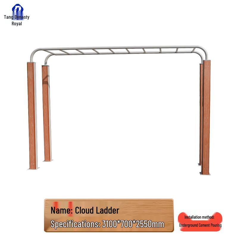 Outdoor Fitness Horizontal Ladder