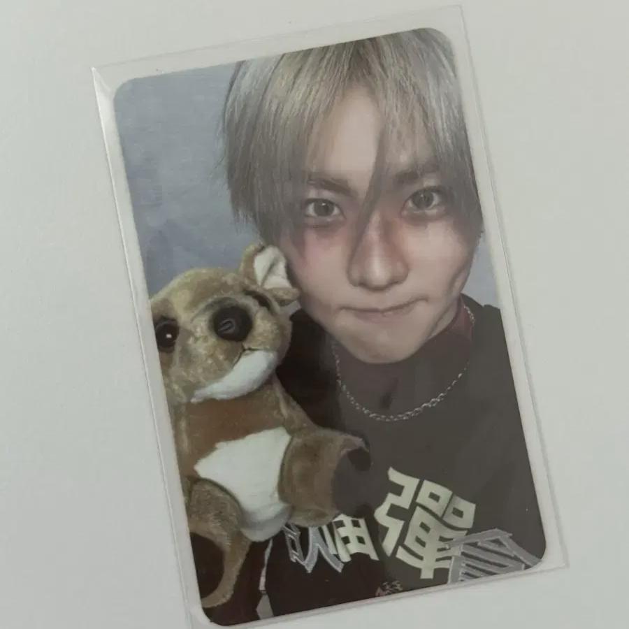 Enhypen Desire Unleash Desire Unleash You Jungwon Photocard