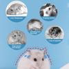 Igloo Hamsterbo Sommarkylande Bo Gyllene Björn Hamster Sovbo Luftkonditionering Sommarskydd Litet Hus Sovande