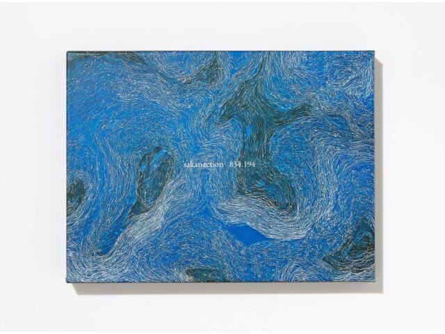 

Sakanaction 834.194 Первое ограниченное издание на 2 компакт-дисках + пакет Blu-ray Deluxe VIZL-1590