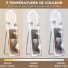 Full-Length LED Arched Mirror, 3 Colors, Memory Function, 150 x 40 cm, Silver