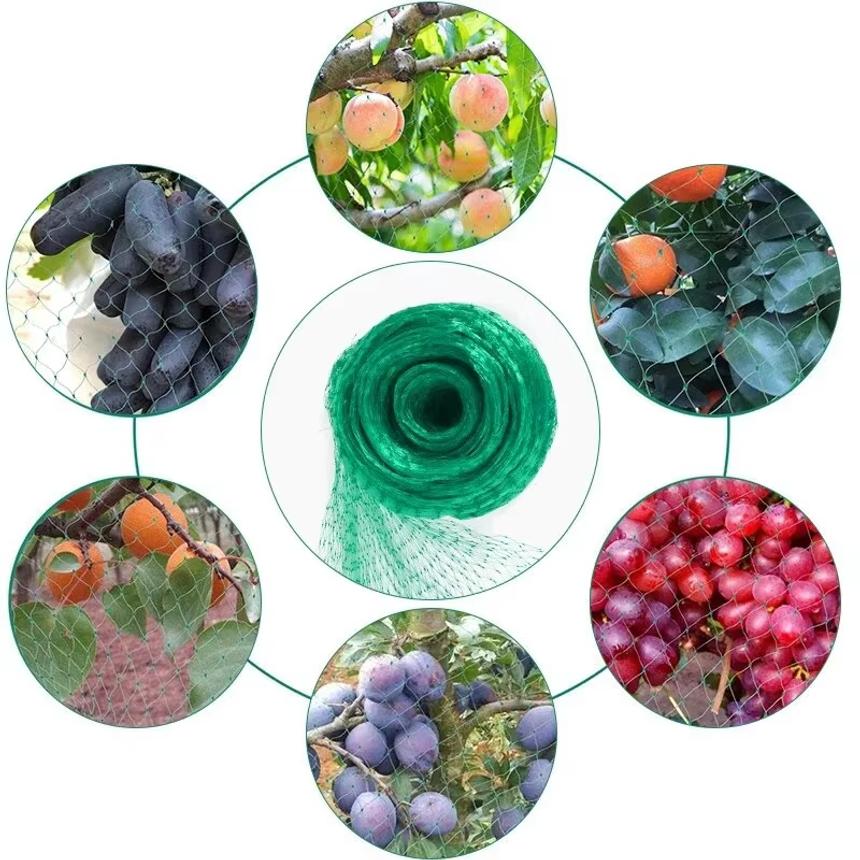 Rete da Giardino Rete Intrecciata Verde Protegge Piante Frutta Fiori Alberi Recinzione Estensibile Rete Resistente Ferma Uccelli Cervi Animali
