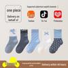 Starry Sky Children's Combed Cotton Socks - High Elasticity Cartoon Lace Girls' Socks