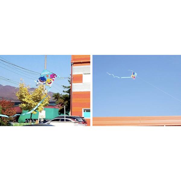 B&C Pinkfong Stingray Kite, 3 Pieces, Korean Popular Toys