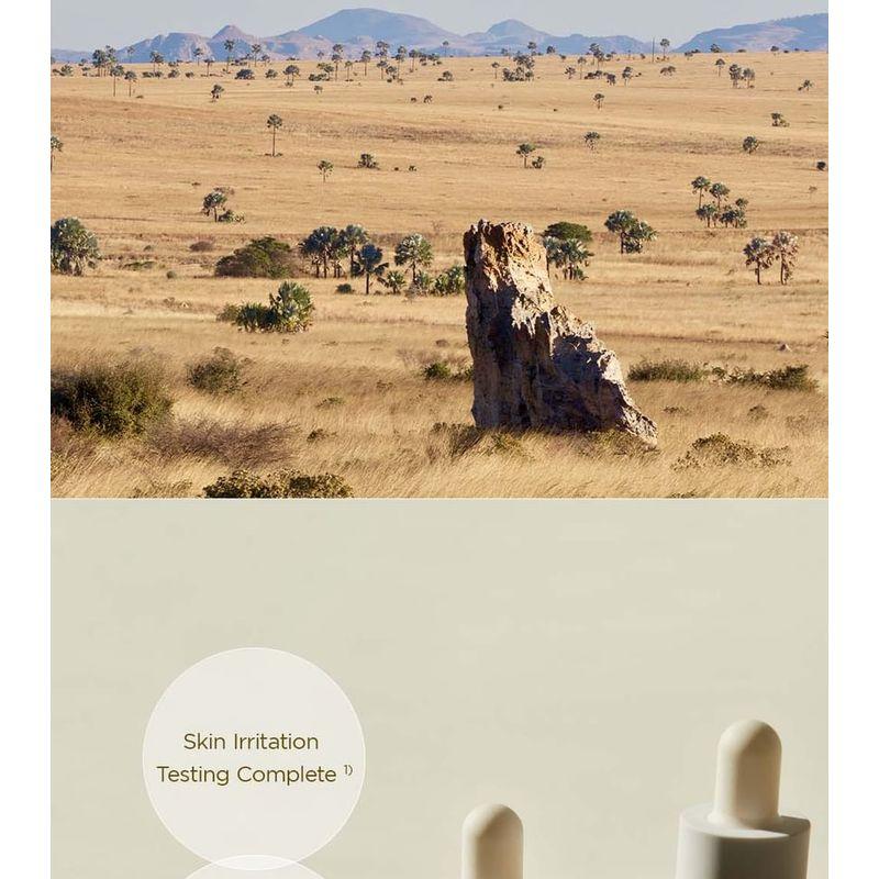 SKIN 1004 - Madagascar Centella Ampoule Bundle Set