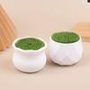 5Pcs Flower Pot Round Planters With Artificial Lawn Vase White Plastic Thick Plants Flower Pot Home Garden Decorations