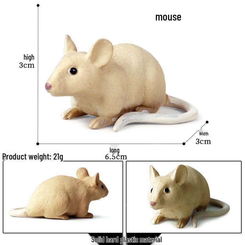 Simulation Animal Model Toys - Mouse, Marmot, Flying Squirrel, Naked Mole Rat, Squirrel, Weasel, Golden Hamster Ornaments