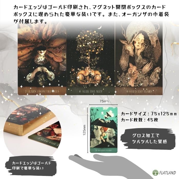 Dream Song Oracle Oracle Cards (Authentic) with Japanese Instructions, Dreams, Space