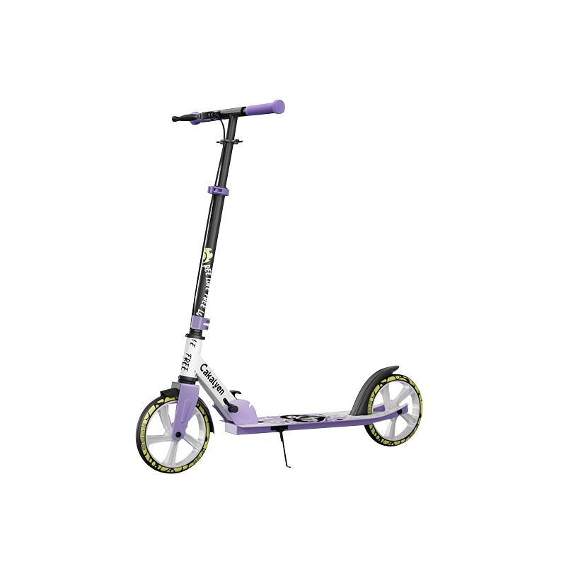 Cakalyen Foldable Two-Wheel Scooter