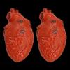 Halloween Horror Bloody Fake Brain Heart Props Lifelike Simulation Human Organ Decorations For Spooky Home Party Decorations