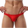 Men's Low Waist Sexy U Pouch Thong Underwear