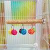 New Grinding Claw Parrot Rope Pole Standing Rod Colored Ball Mouth Chew Cage Accessories Pet Bird