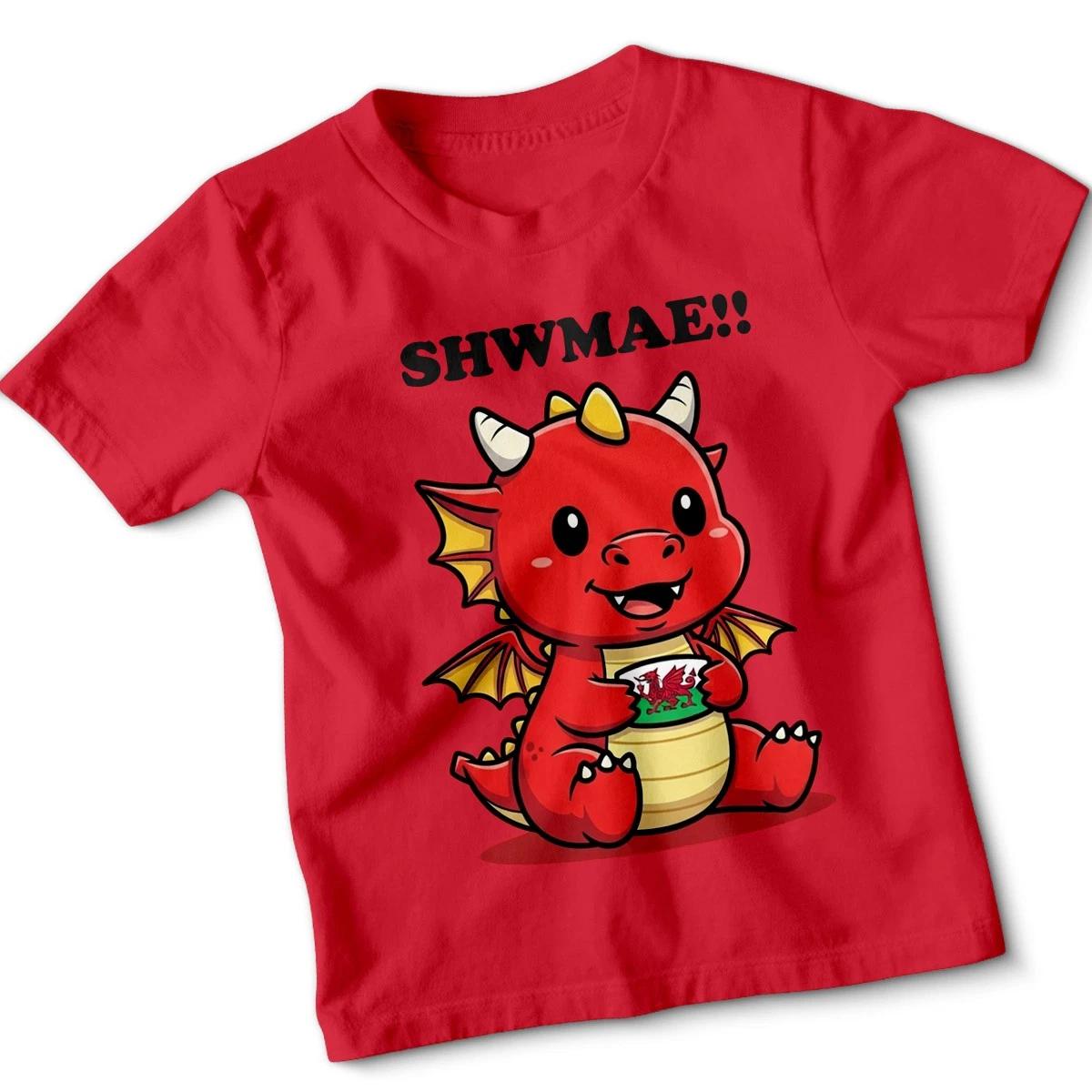 Shwmae Wales Dragon Kids T-Shirt Welsh Culture Boys Girls Tee 130