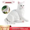 Pediatric Cognitive Simulation: White Cat Model Ornament Gift