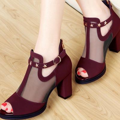 Sandals Women's 2025 Spring and Summer New Fashion Korean Version Versatile Fish Mouth Sandals Thick Heel Mesh Women's Shoes Large Size