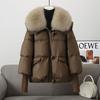 Winter new down cotton-padded clothes women's short loose cotton-padded clothes women's fur collar thickened cotton-padded jacket