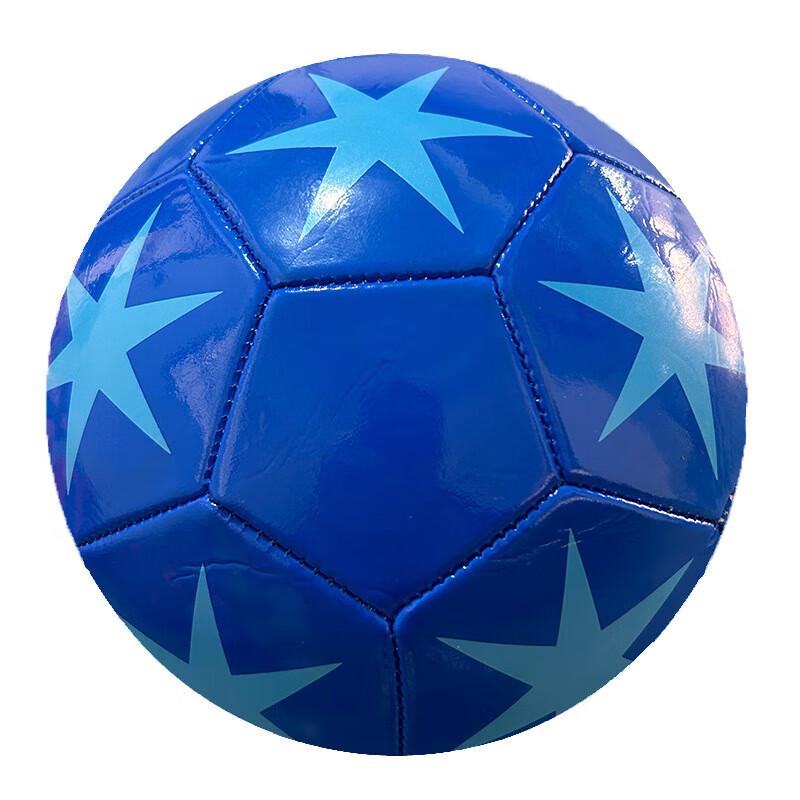 Pure Sen Size 5 PVC Training Football