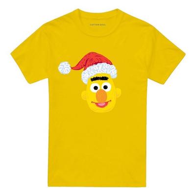 Sesame Street Unisex Adult Bert Scribble Christmas T-Shirt